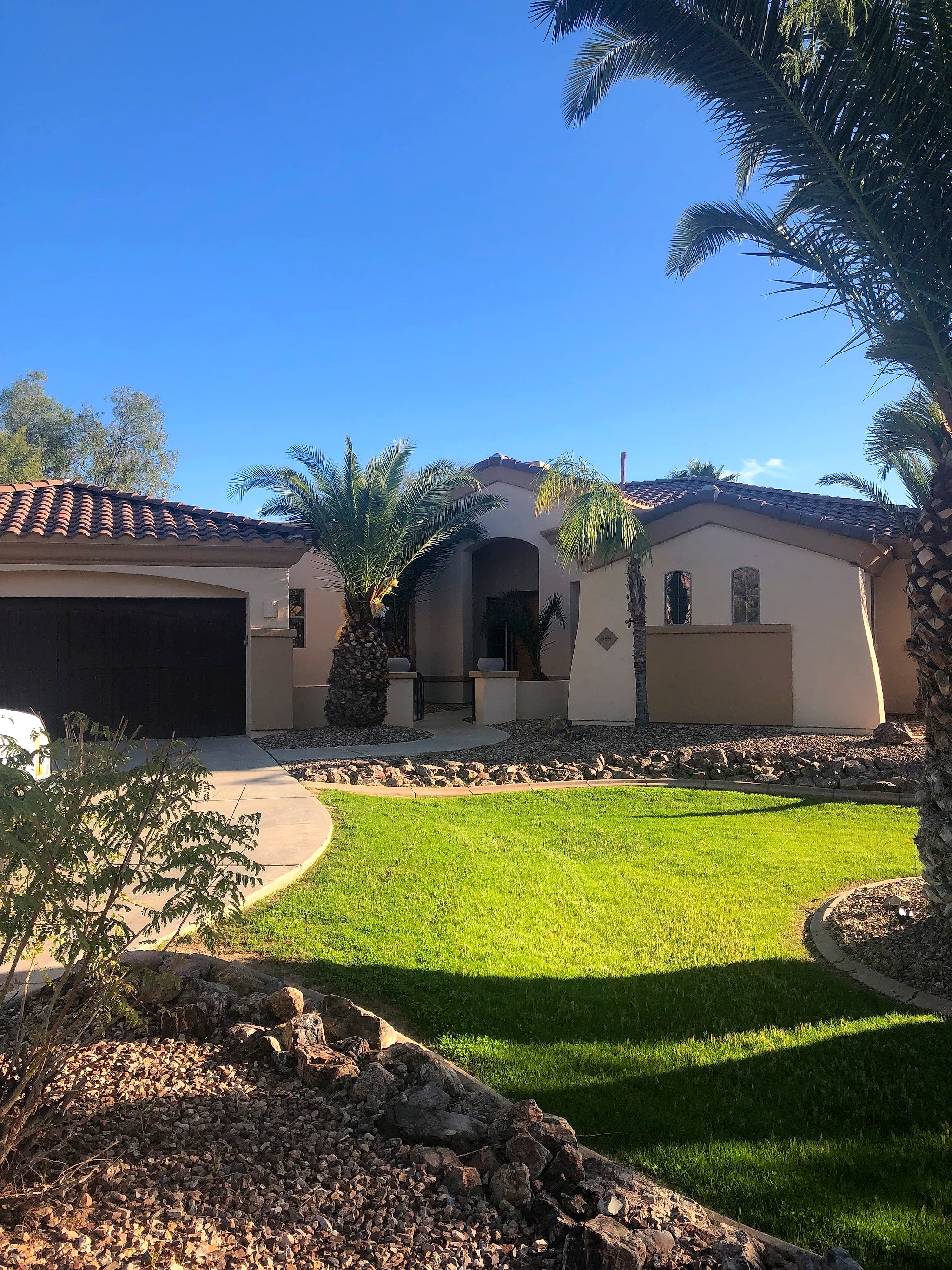 Single-story home with palms and a green lawn after painting
